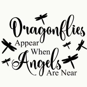 dragonflies appear when angels are near vinyl decal 5"